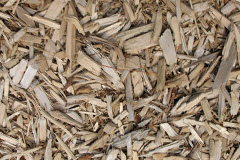 biomass boilers Morval